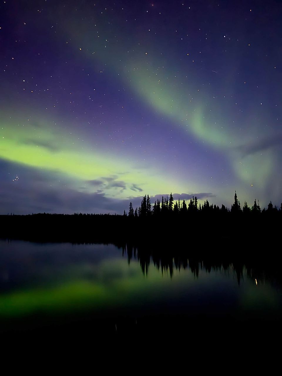 Green aurora at blue hour over a lake and spruce silhouettes